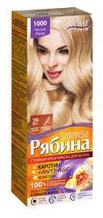 Kreemjas juuksevärv Acme Color Rebina Intense No. 1000 puhas blond hind ja info | Juuksevärvid | kaup24.ee