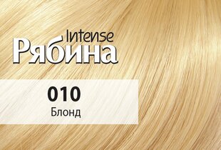 Kreemjas juuksevärv Acme Color Rebina Intense No. 010 blondiin hind ja info | Juuksevärvid | kaup24.ee