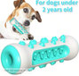 Koera närimismänguasi, Electronics LV-2030, 1 tk hind ja info | Mänguasjad koertele | kaup24.ee