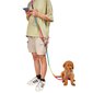 Käed-vabad koerarihm, vikerkaarevärviline, 240 cm hind ja info | Koerte jalutusrihmad | kaup24.ee