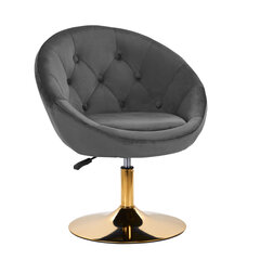 стул - qs-bl12b, серый цена и информация | Мебель для салонов красоты | kaup24.ee