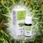 Eeterlik õli Aromatly 12ml цена и информация | Küünlad, küünlajalad | kaup24.ee