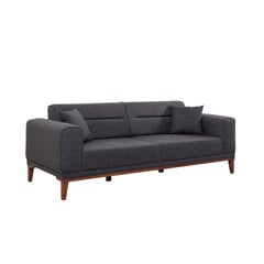 3 vietų sofa-lova Liones 33 - Anthracite цена и информация | Диваны | kaup24.ee
