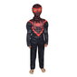 Spidermani superkangelase maskiga kostüüm, 120-130, 7-9 aastat hind ja info | Karnevali kostüümid | kaup24.ee