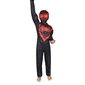 Spidermani superkangelase maskiga kostüüm, 120-130, 7-9 aastat hind ja info | Karnevali kostüümid | kaup24.ee