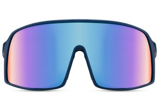Солнцезащитные очки для мужчин Marqel L8167 цена и информация | Солнцезащитные очки для мужчин | kaup24.ee