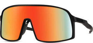 Солнцезащитные очки для мужчин Marqel L8166 цена и информация | Солнцезащитные очки для мужчин | kaup24.ee