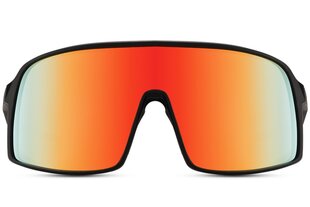 Солнцезащитные очки для мужчин Marqel L8166 цена и информация | Солнцезащитные очки для мужчин | kaup24.ee