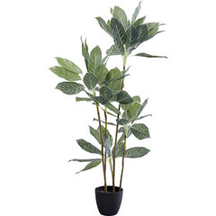 Декоративное растение Калатея, 140 см цена и информация | Искусственные цветы | kaup24.ee