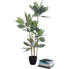 Декоративное растение Калатея, 140 см цена и информация | Искусственные цветы | kaup24.ee