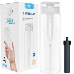 Стеклянная бутылка Wessper ActiveMax с фильтром цена и информация | Столовые и кухонные приборы | kaup24.ee