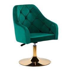 стул qs-bl14g, зеленый цена и информация | Мебель для салонов красоты | kaup24.ee