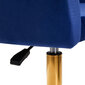 Tool 4Rico QS-BL14G, sinine hind ja info | Ilusalongi mööbel | kaup24.ee
