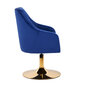 Tool 4Rico QS-BL14G, sinine hind ja info | Ilusalongi mööbel | kaup24.ee