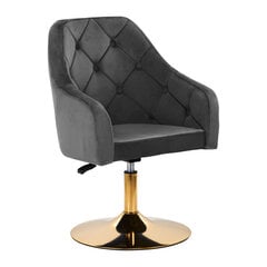 стул - 4rico qs-bl14g, серый цена и информация | Мебель для салонов красоты | kaup24.ee