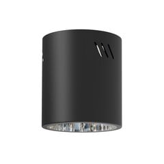 точечный светильник, 230 в/50 гц цена и информация | Потолочные светильники | kaup24.ee