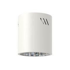 светильник для внутреннего освещения 1xe27 белый цена и информация | Потолочные светильники | kaup24.ee