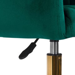 Tool 4Rico Qs-of212g, roheline hind ja info | Ilusalongi mööbel | kaup24.ee