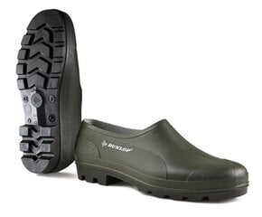 Садовая обувь B350611, Dunlop цена и информация | Рабочая обувь 38 | kaup24.ee