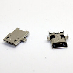 ASUS ZenPad 10 Z300C P023 разъем micro USB цена и информация | Аксессуары для компонентов | kaup24.ee