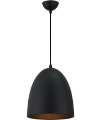 Подвесной светильник G.Lux GT-932-1S OZ цена и информация | Потолочный светильник, 38 x 38 x 24 см | kaup24.ee