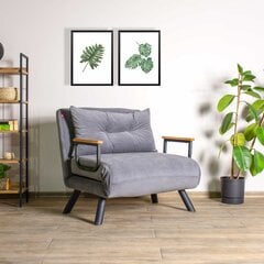 1 sėdynės sofa-lova Sando Single - Light Grey цена и информация | Кресла в гостиную | kaup24.ee