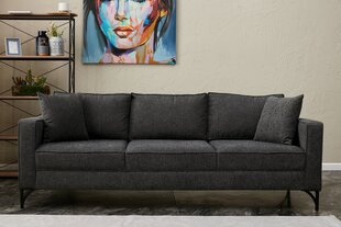 3 vietų sofa Berlin - Anthracite, Black цена и информация | Диваны | kaup24.ee