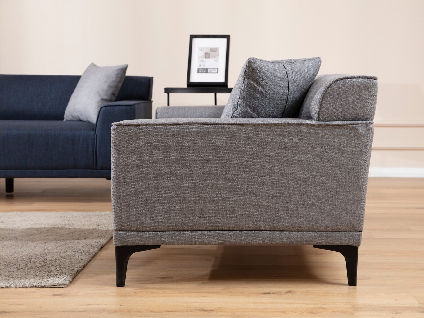 Kahekohaline diivan Atelier Del Sofa Petra 2, hall hind ja info | Diivanid ja diivanvoodid | kaup24.ee