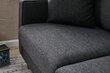 Kahekohaline diivan Atelier Del Sofa Eva, hall hind ja info | Diivanid ja diivanvoodid | kaup24.ee