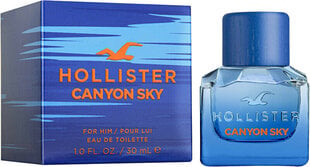 Tualettvesi Hollister Canyon Sky EDT meestele, 100 ml hind ja info | Meeste parfüümid | kaup24.ee
