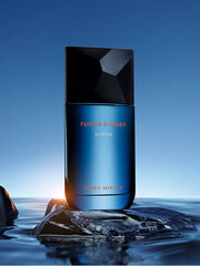 Tualettvesi Issey Miyake Fusion D`Issey Extreme EDT meestele, 100 ml hind ja info | Meeste parfüümid | kaup24.ee