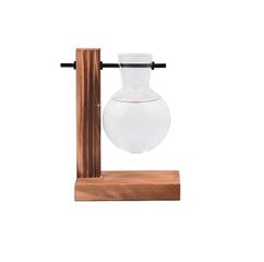 Подвесная стеклянная ваза Electronics LV-7 13.5 см цена и информация | Вазы | kaup24.ee