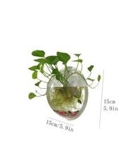 Прозрачный подвесной горшок для растений Electronics LV-10, 15.5 см цена и информация | Вазы | kaup24.ee