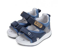 Nahast sandaalid poistele Ponte20, sinine hind ja info | Laste sandaalid | kaup24.ee