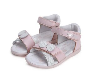 Nahast sandaalid tüdrukutele D.D.Step, roosa цена и информация | Детские сандали | kaup24.ee