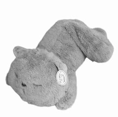 Плюшевая игрушка серый кот Eddy Toys, 60 см цена и информация | Мягкие игрушки | kaup24.ee