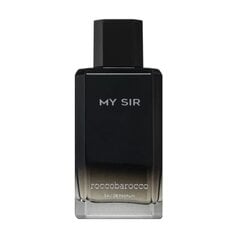 Parfüümvesi Roccobarocco My Sir EDP meestele, 100 ml hind ja info | Meeste parfüümid | kaup24.ee