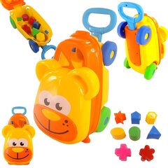 Klotsi sorteerija Karu hind ja info | Imikute mänguasjad | kaup24.ee