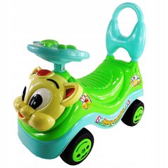 Lükatav auto hind ja info | Imikute mänguasjad | kaup24.ee