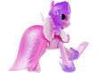 Ponide kollektsioon koos My Little Pony aksessuaaridega hind ja info | Poiste mänguasjad | kaup24.ee