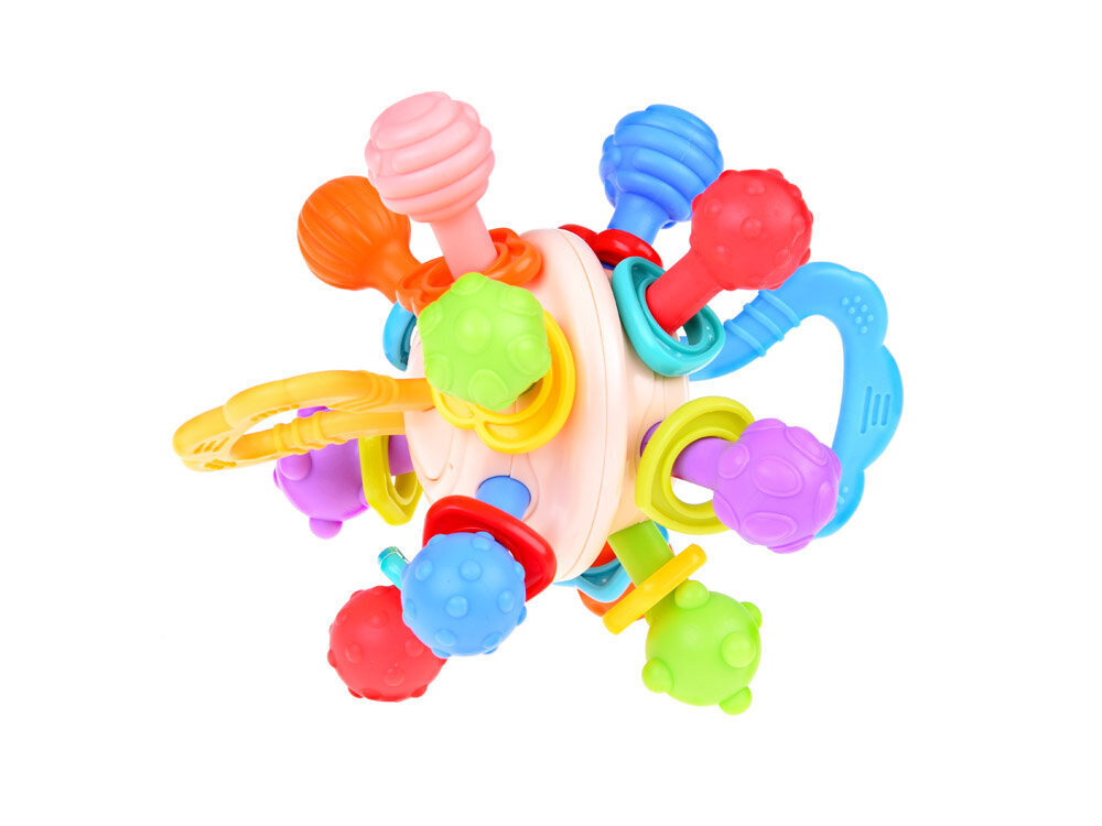 Beebi sensoorne mänguasi Huanger цена и информация | Imikute mänguasjad | kaup24.ee