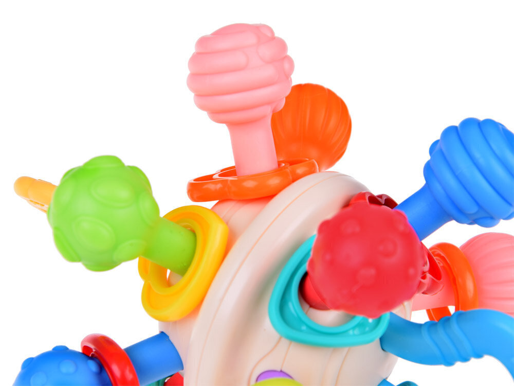 Beebi sensoorne mänguasi Huanger hind ja info | Imikute mänguasjad | kaup24.ee