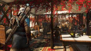 The Witcher 3: Wild Hunt Complete Edition hind ja info | Arvutimängud, konsoolimängud | kaup24.ee