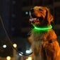 LED koera kaelarihm, kael 35cm, roheline hind ja info | Kaelarihmad ja traksid koertele | kaup24.ee