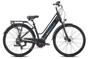 Электрический велосипед Esperia, 28", серый цена и информация | Электровелосипеды | kaup24.ee