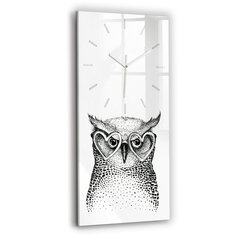 Seinakell Joonistatud öökull prillidega, 30x60 cm цена и информация | Часы | kaup24.ee