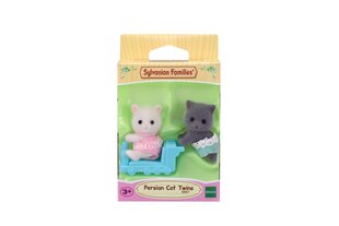 Pärsia kassi kaksikud Sylvanian 05457 hind ja info | Tüdrukute mänguasjad | kaup24.ee