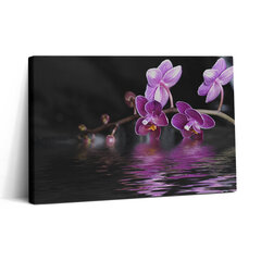 Seinapilt Roosa orhidee lill vee peal цена и информация | Картины, живопись | kaup24.ee