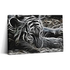 Seinapilt Abstraktne tiigri muster цена и информация | Картины, живопись | kaup24.ee