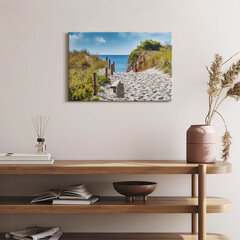Seinapilt Liivane tee randa ja mereni цена и информация | Картины, живопись | kaup24.ee